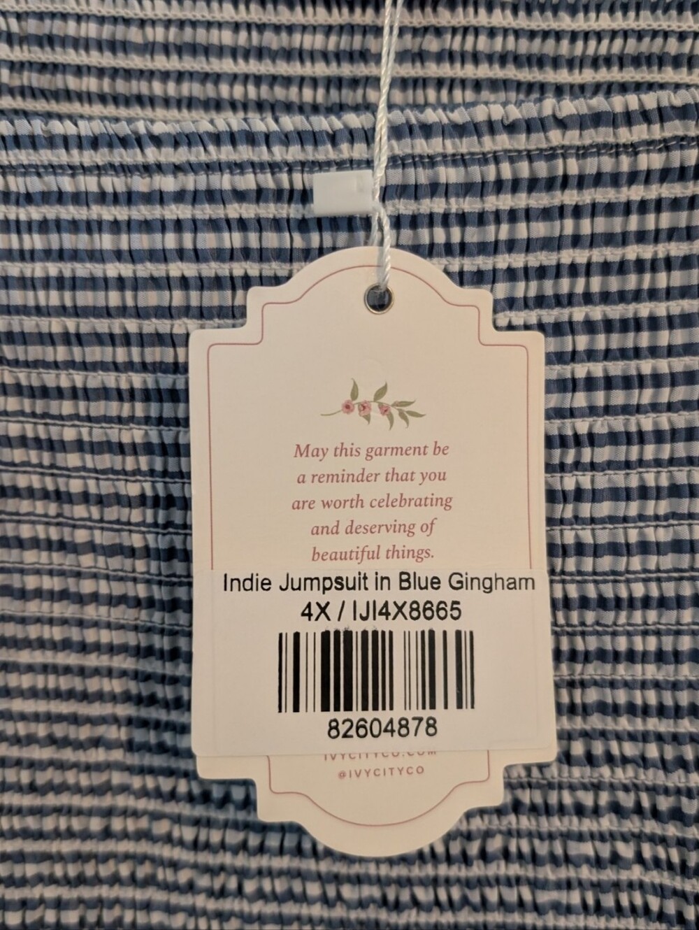 Ivy City Co Indie Jumpsuit in Blue Gingham NWT - Picture 3 of 13